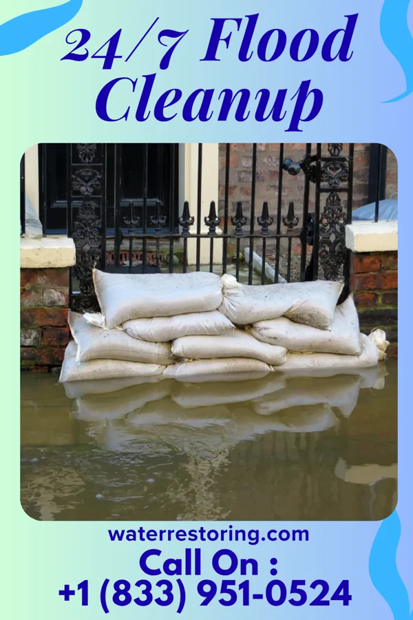 24/7 Flood Cleanup in Pewee Valley, KY