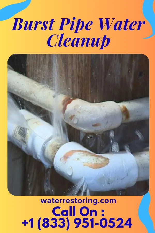 Burst Pipe Water Cleanup in Pewee Valley, KY