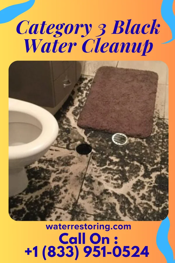 Category 3 Black Water Cleanup in Pewee Valley, KY