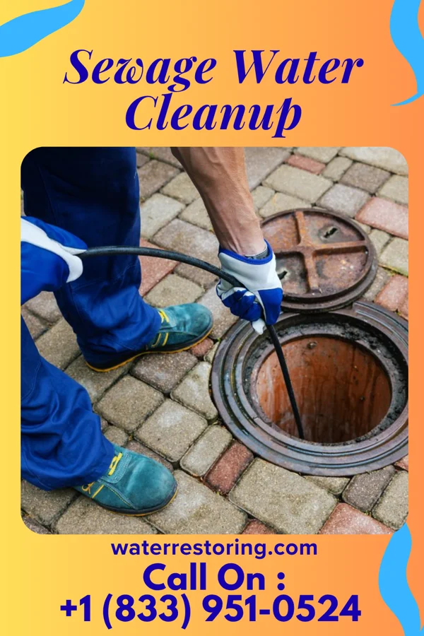 Sewage Water Cleanup in Pewee Valley, KY
